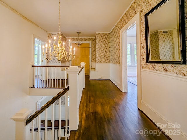 hallway featuring wainscoting, healthy amount of natural light, a chandelier, dark wood-style flooring, and wallpapered walls