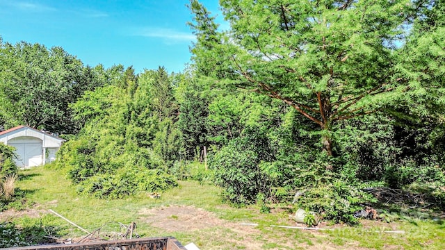 view of yard featuring an outdoor structure, a storage unit, and a forest view