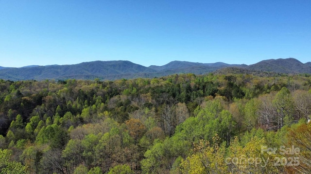 389 Lily Ln, Whittier, NC 28789 - mountain view featuring a forest view