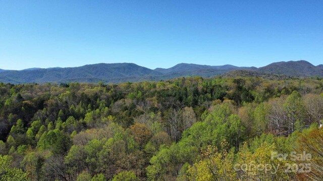 389 Lily Ln, Whittier, NC 28789 - view of mountain backdrop with a forest
