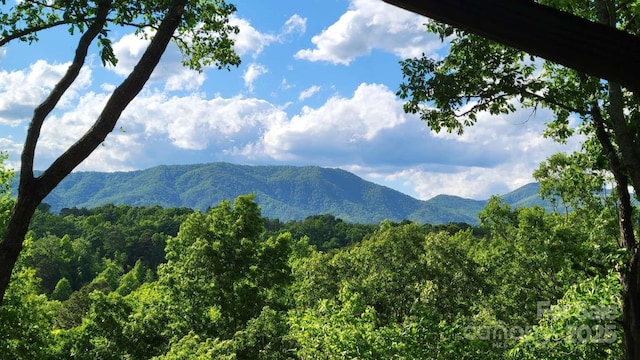 389 Lily Ln, Whittier, NC 28789 - mountain view featuring a forest