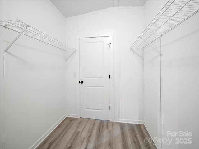 spacious closet featuring wood finished floors