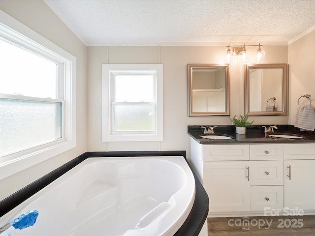 full bathroom with a textured ceiling, a bath, and double vanity