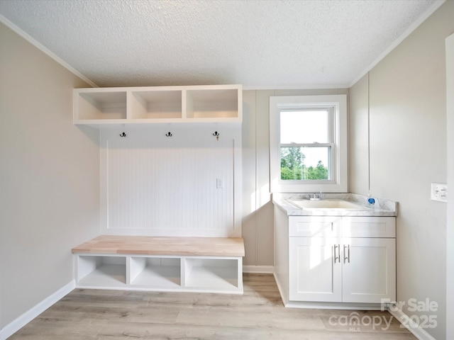 mudroom with a sink, a textured ceiling, light wood finished floors, ornamental molding, and baseboards