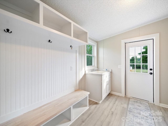 mudroom featuring plenty of natural light, a sink, a textured ceiling, and light wood finished floors
