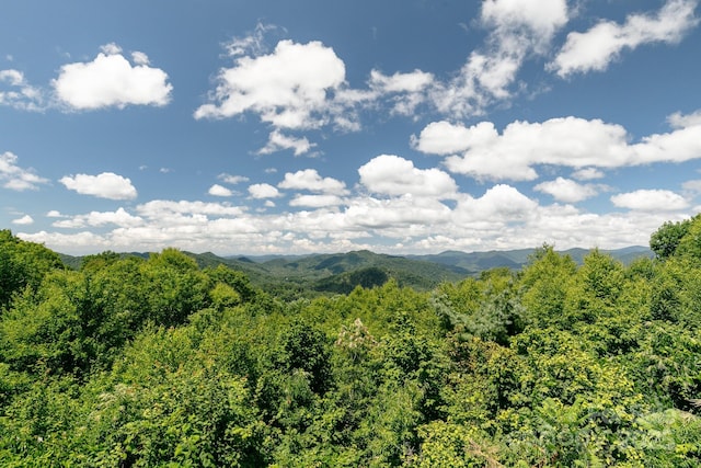property view of mountains featuring a forest view
