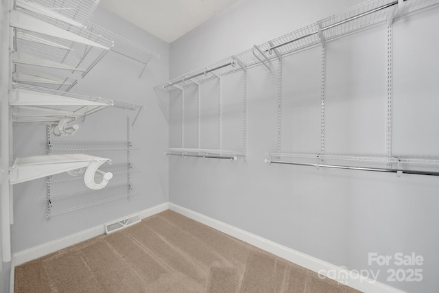 1855 Second Baxter Xing, Fort Mill, SC 29708 - spacious closet featuring carpet