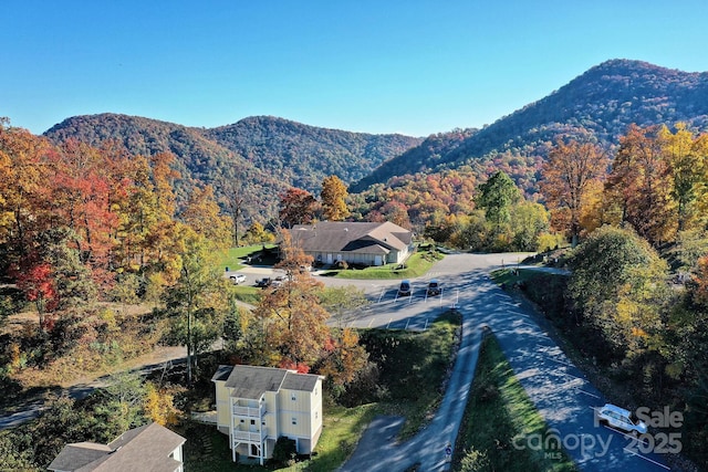 property view of mountains with a view of trees