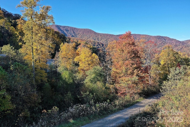 view of mountain feature featuring a view of trees