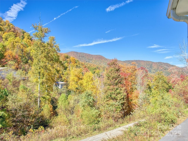 mountain view with a view of trees
