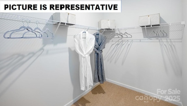 spacious closet with carpet floors