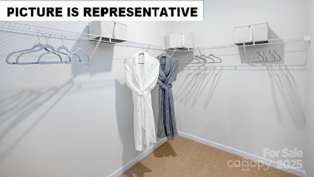 111 Way Cross Ln, Troutman, NC 28166 - walk in closet with carpet
