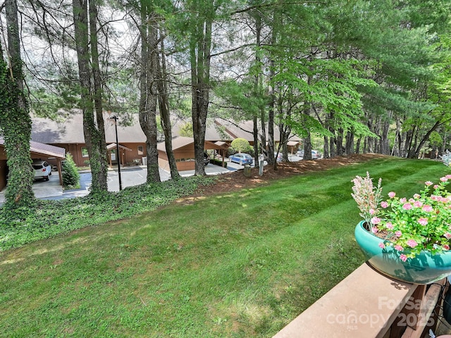306 Woodfield Dr, Asheville, NC 28803 - photo 31