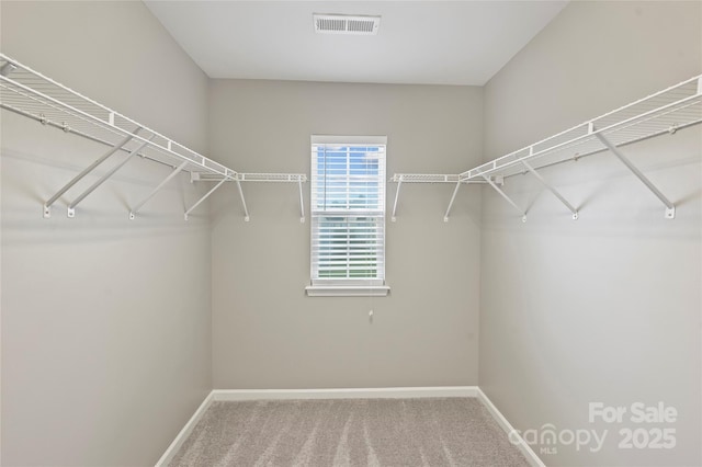 9321 Bradstreet Commons Way, Charlotte, NC 28215 - walk in closet with carpet flooring