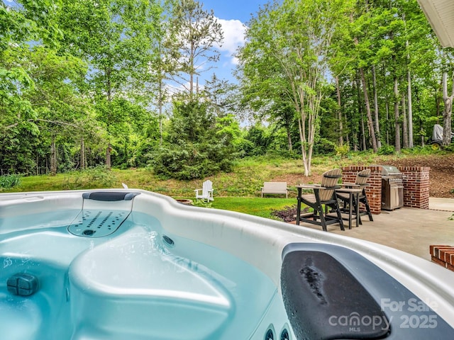 view of pool featuring a patio and a grill