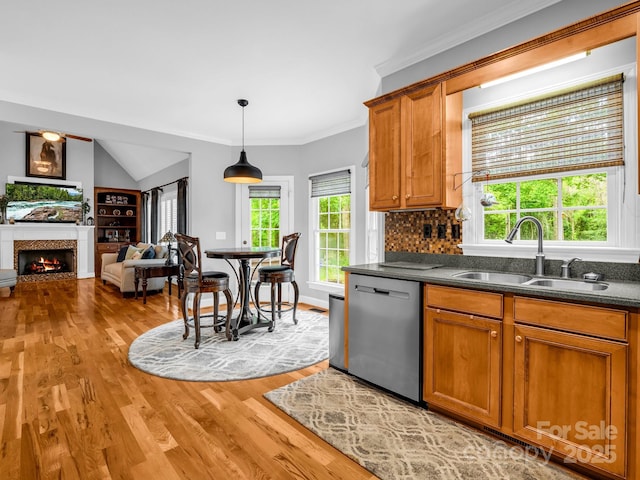 kitchen with a sink, stainless steel dishwasher, a lit fireplace, and light wood-style flooring