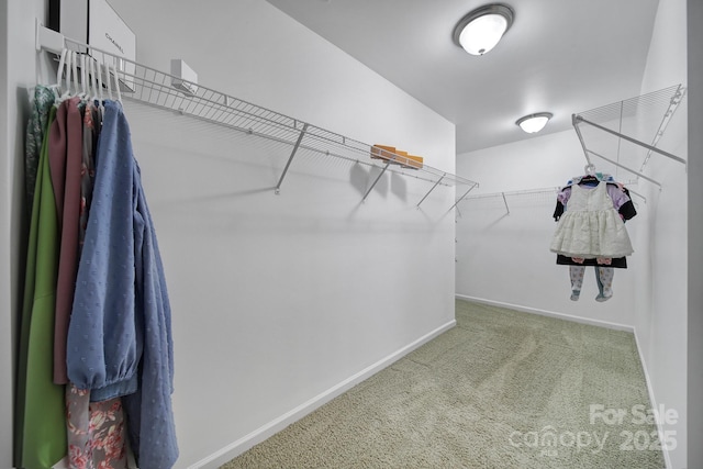 9029 Woodview Ct, Fort Mill, SC 29707 - spacious closet with carpet floors