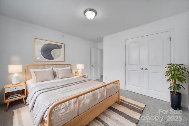 9029 Woodview Ct, Fort Mill, SC 29707 - carpeted bedroom with a closet