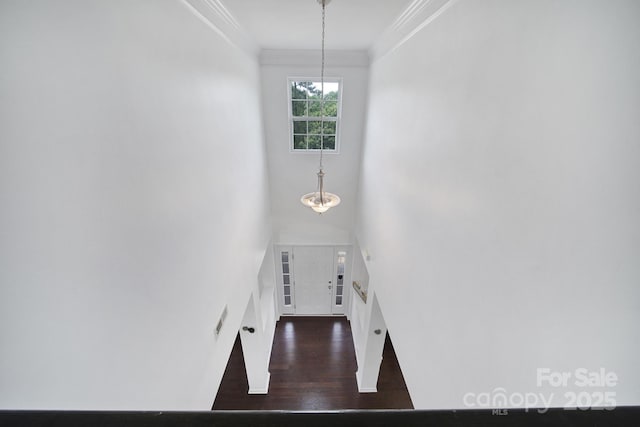 9029 Woodview Ct, Fort Mill, SC 29707 - entryway featuring ornamental molding, wood finished floors, and a towering ceiling