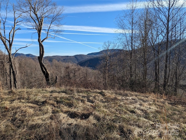 117 Ironwood Ln Unit C-20, Black Mountain, NC 28711