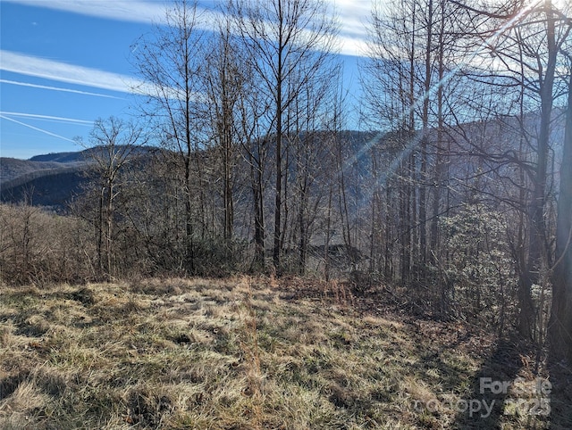 117 Ironwood Ln Unit C-20, Black Mountain, NC 28711
