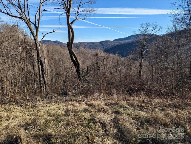 117 Ironwood Ln Unit C-20, Black Mountain, NC 28711