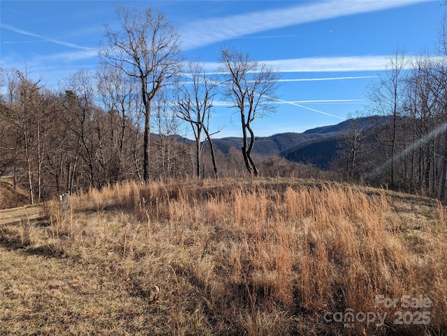 117 Ironwood Ln Unit C-20, Black Mountain, NC 28711