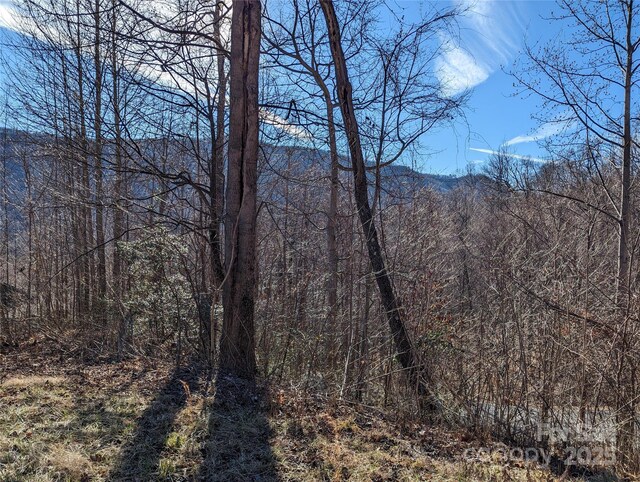 117 Ironwood Ln Unit C-20, Black Mountain, NC 28711