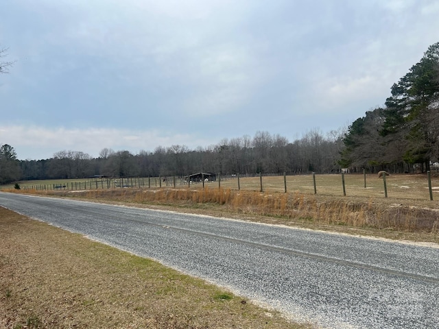 TBD Steen Rd, Mount Croghan, SC 29727