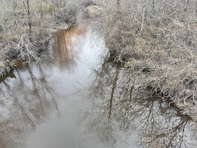 TBD Steen Rd, Mount Croghan, SC 29727