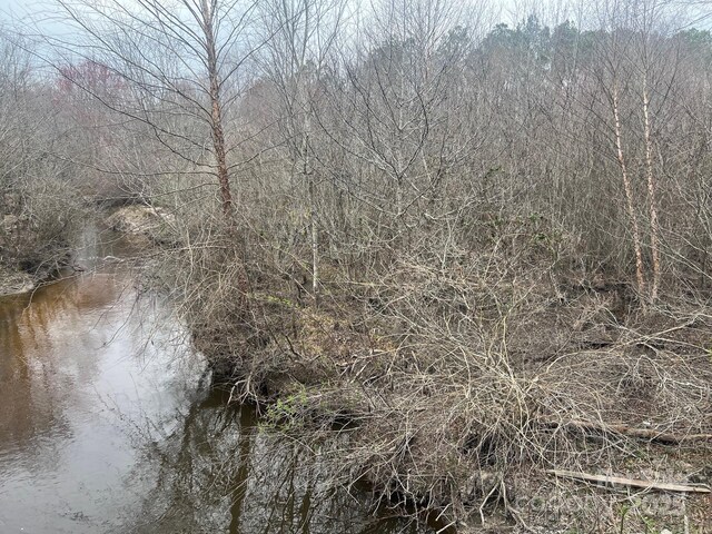 TBD Steen Rd, Mount Croghan, SC 29727
