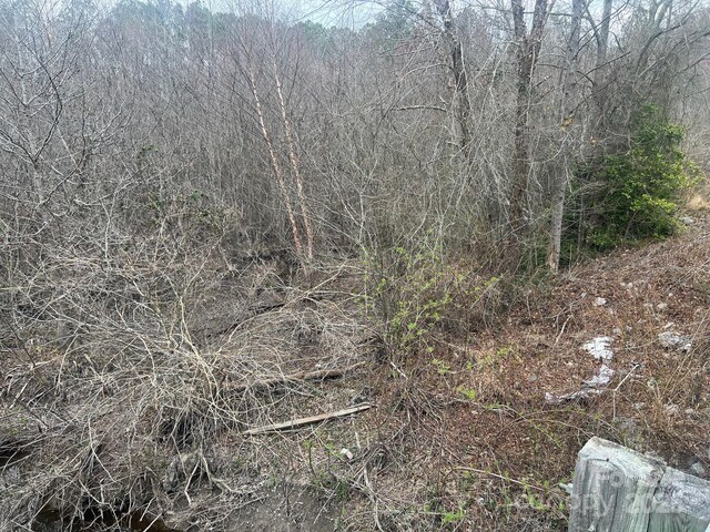 TBD Steen Rd, Mount Croghan, SC 29727