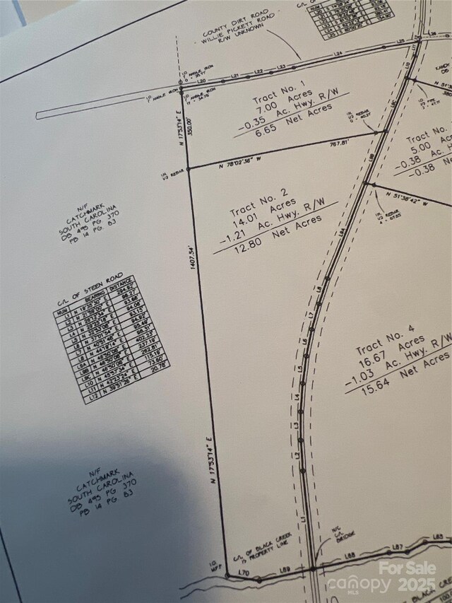 TBD Steen Rd, Mount Croghan, SC 29727