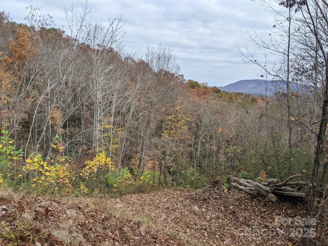 171 Nuthatch Ln Unit C-30, Black Mountain, NC 28711