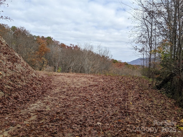 171 Nuthatch Ln Unit C-30, Black Mountain, NC 28711