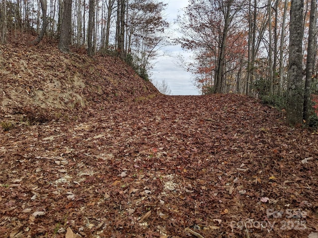 171 Nuthatch Ln Unit C-30, Black Mountain, NC 28711