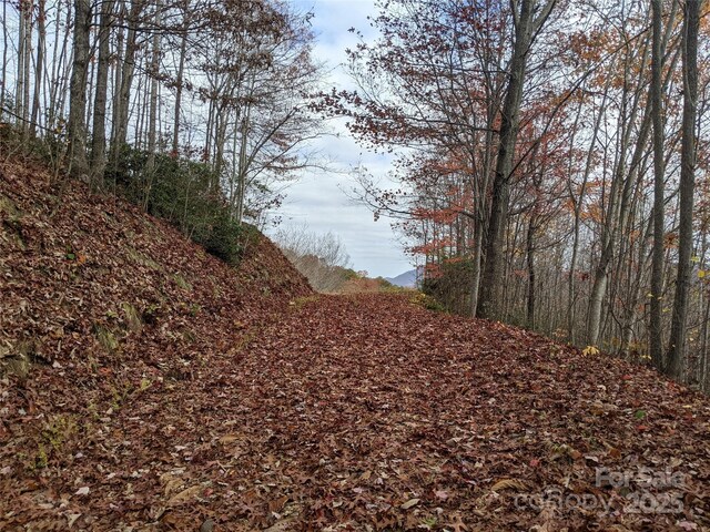 171 Nuthatch Ln Unit C-30, Black Mountain, NC 28711