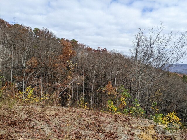 171 Nuthatch Ln Unit C-30, Black Mountain, NC 28711