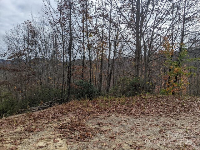 171 Nuthatch Ln Unit C-30, Black Mountain, NC 28711