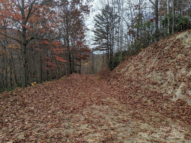 171 Nuthatch Ln Unit C-30, Black Mountain, NC 28711