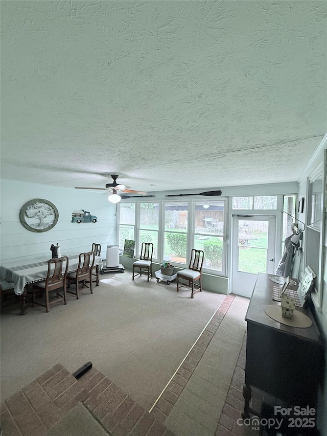 sunroom / solarium with carpet floors and a textured ceiling