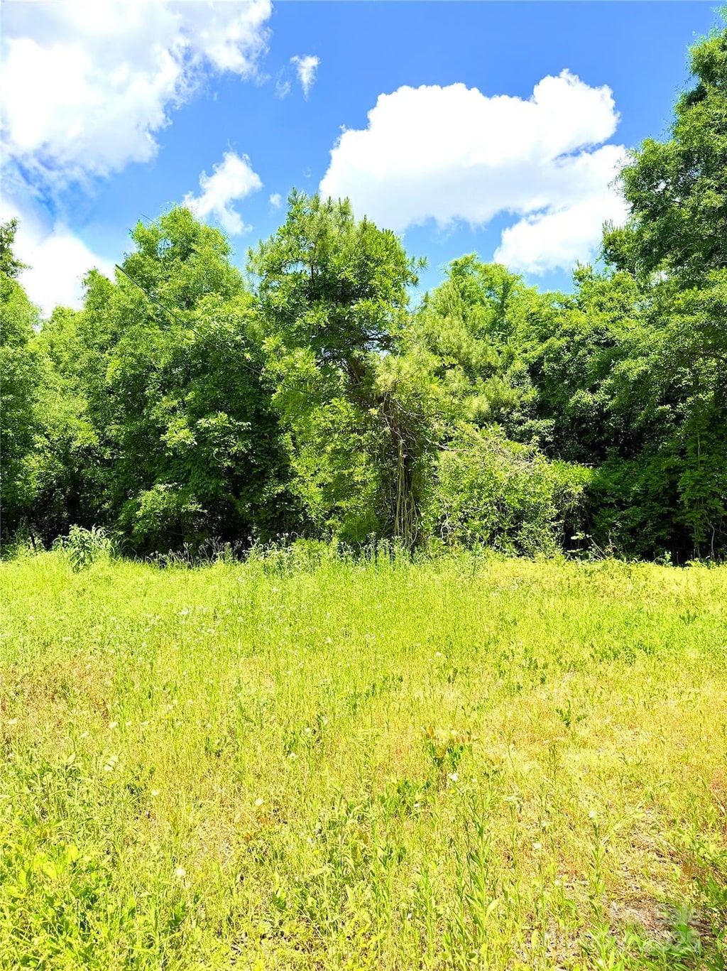 0 N Austin Rd Unit 6, Marshville, NC 28103 - photo 1