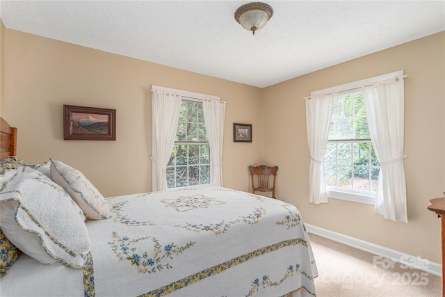 bedroom with carpet flooring, baseboards, and multiple windows