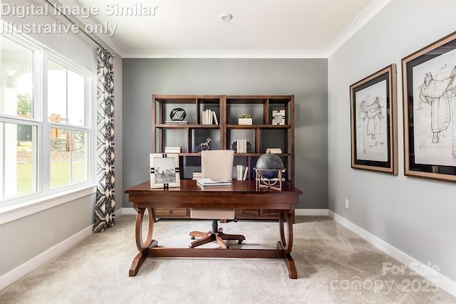 carpeted office with crown molding and baseboards