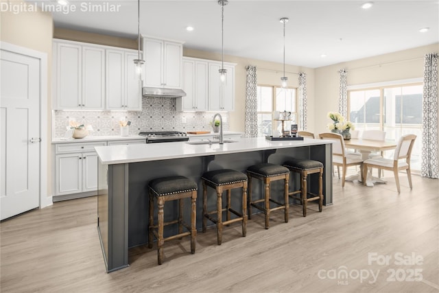 kitchen featuring tasteful backsplash, light wood-type flooring, stainless steel stove, a sink, and under cabinet range hood