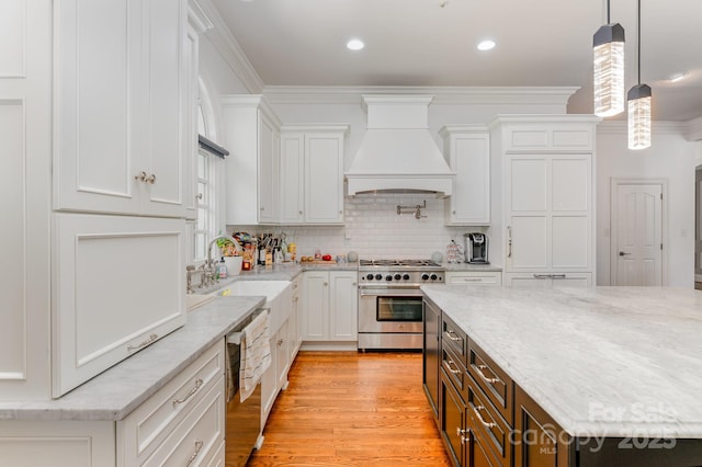 5400 Challisford Ln, Charlotte, NC 28226 - kitchen featuring white cabinets, stainless steel appliances, custom range hood, and a sink