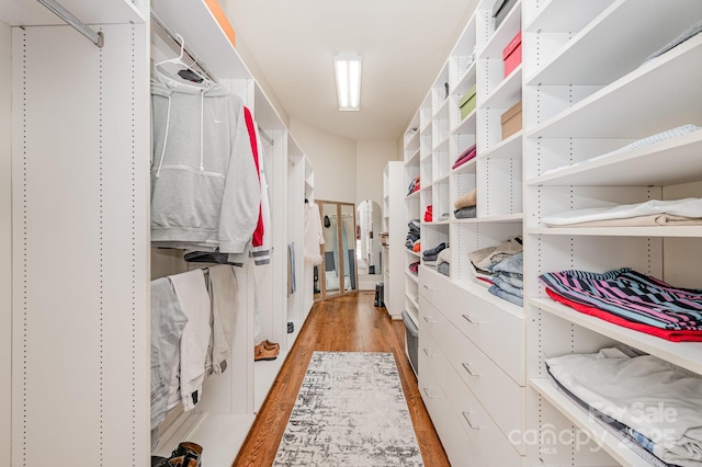5400 Challisford Ln, Charlotte, NC 28226 - walk in closet with light wood-style flooring