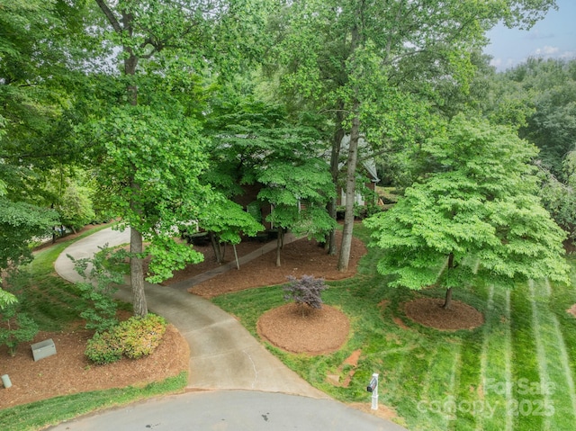 134 Lawrence Tee Ln, Mooresville, NC 28117 - photo 37