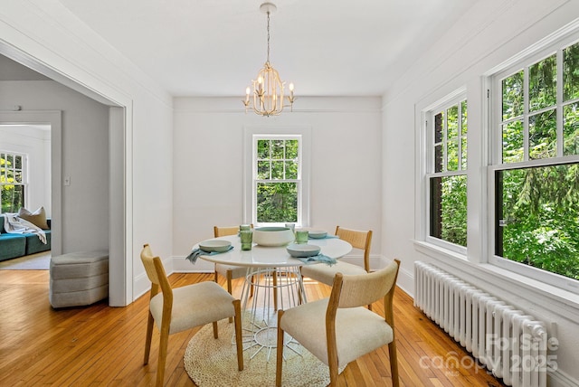 21 Sylvan Ave, Asheville, NC 28801 - dining area with radiator heating unit, a chandelier, light wood-type flooring, and baseboards