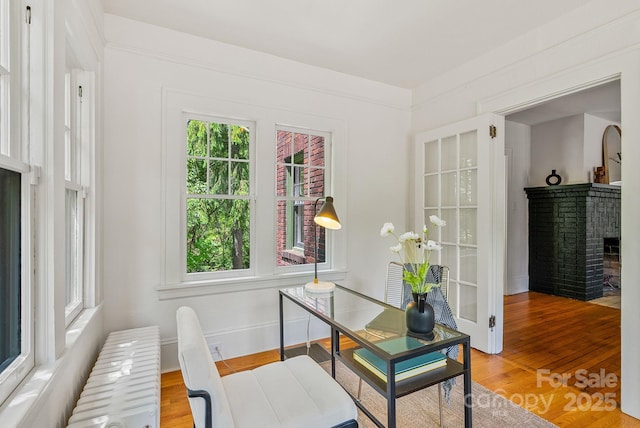 21 Sylvan Ave, Asheville, NC 28801 - office with radiator heating unit, wood finished floors, a brick fireplace, and baseboards